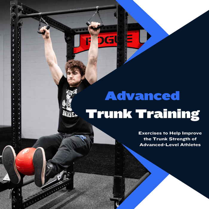 Advanced Trunk Training