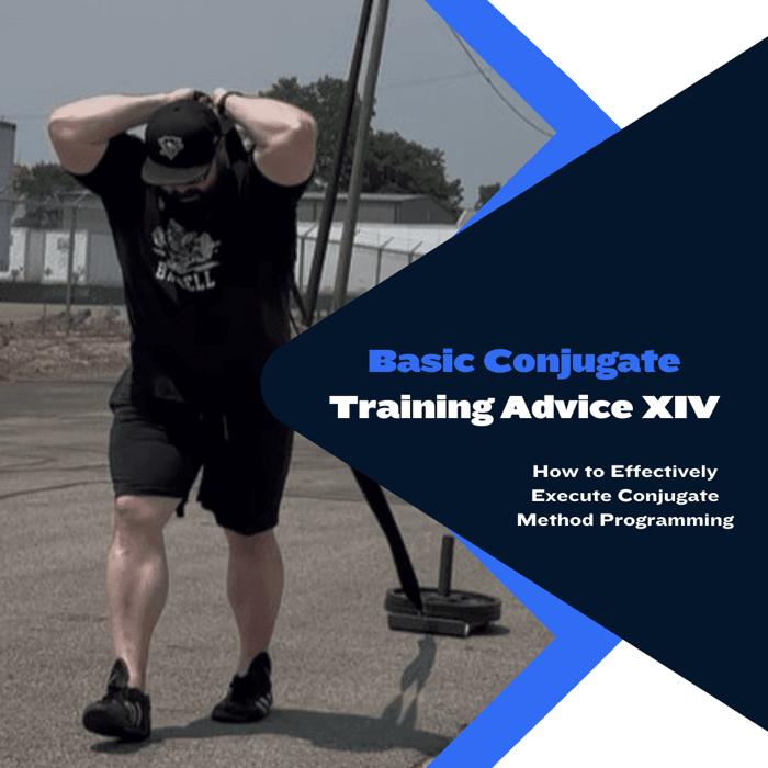 Basic Conjugate Training Advice XIV
