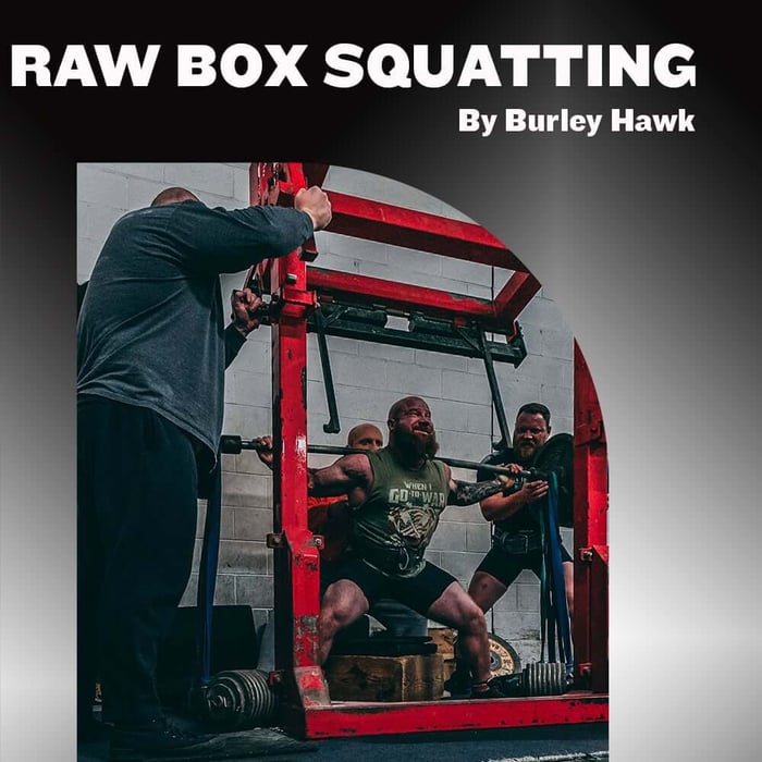 Box Squats for Raw Powerlifters - Execution and Programming