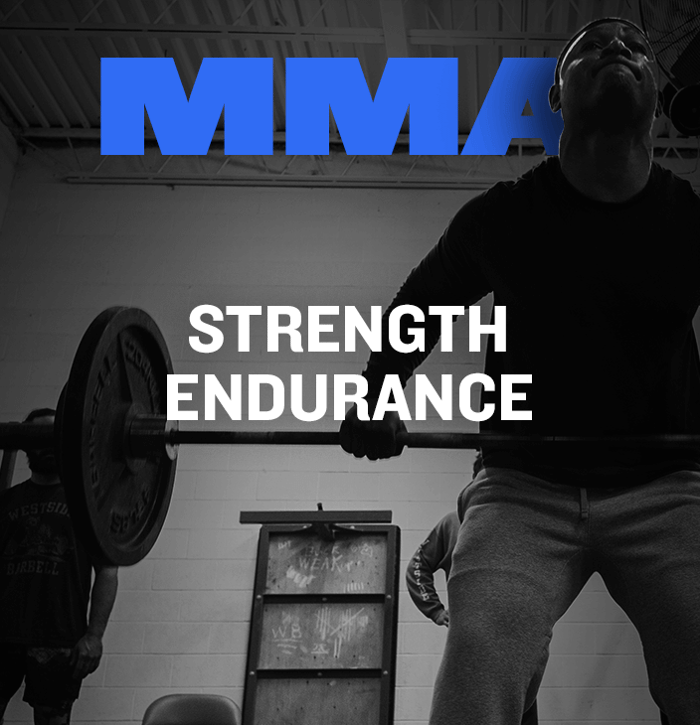 WSBB Blog: Strength Endurance for MMA