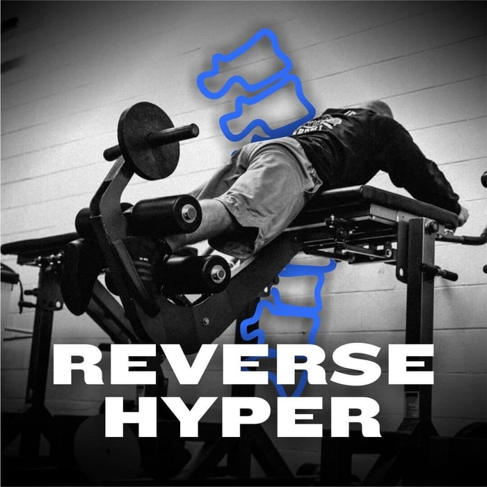 WSBB Blog: Reverse Hypers