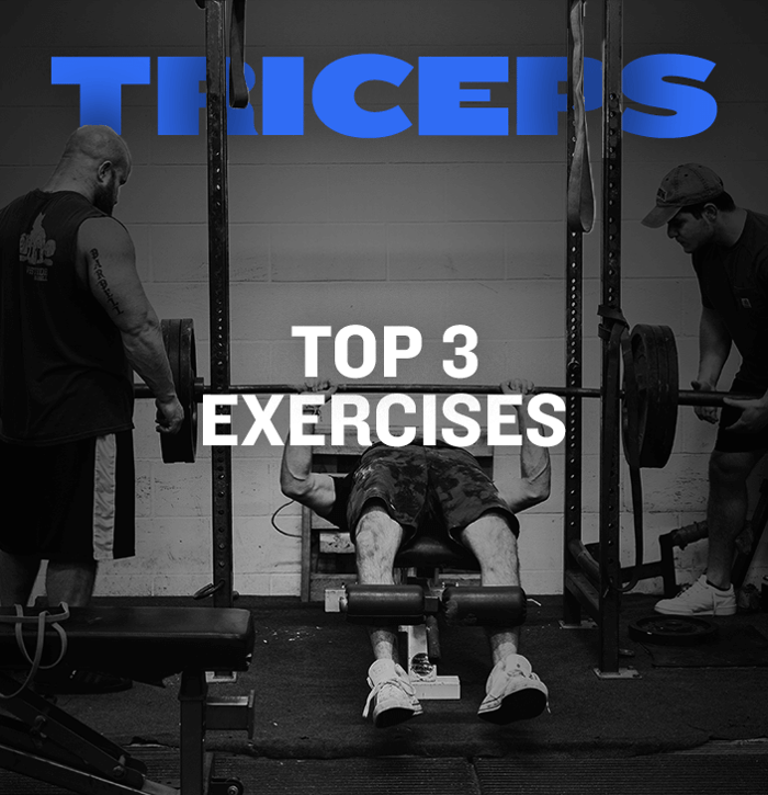WSBB Blog: Top Three Tricep Exercises