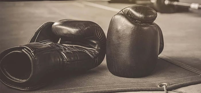 What Type of Boxing Gloves Do I Need?