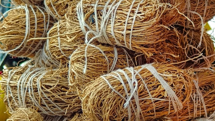 Ruh Khus — Oil of Tranquility