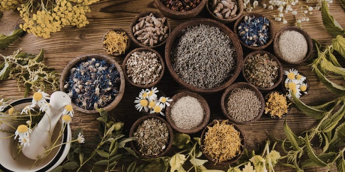 5 plantes anti-inflammatoires pour aider à soulager l'endométriose