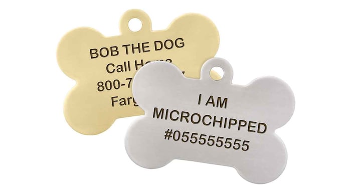 Keeping Your Pet ID Tags Current