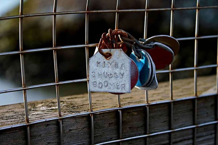 The History of Dog Tags and Their Various Uses