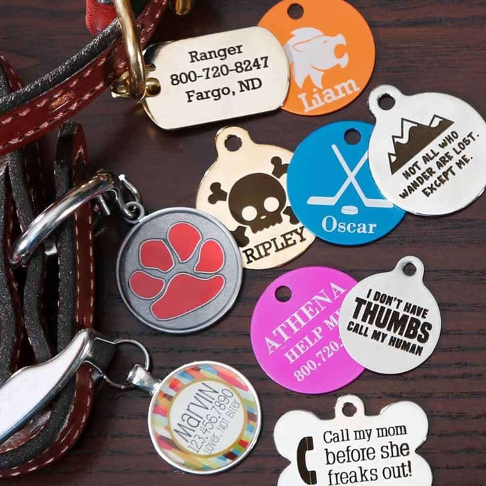 dogIDs Top 5 Unique Dog ID Tags for Dogs