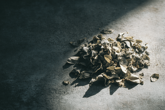 Oreganoöl: Magensaftresistente Kapseln - Bild von getrocknetem Oregano