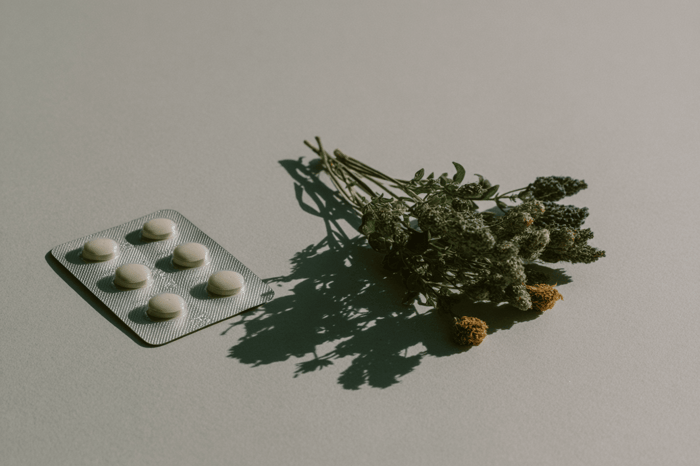 Blister mit weißen Tabletten neben getrockneten Pflanzen als Symbol für natürliche Nahrungsergänzungsmittel und synthetische im Vergleich