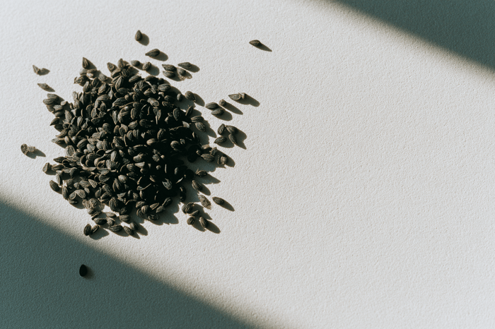 Nigella sativa: Geschichte und Tradition des Schwarzkümmels