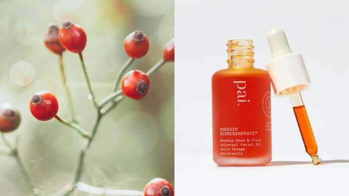 Fresh rosehip berries on branches next to Pai Rosehip BioRegenerate Oil bottle with dropper showing the natural source of this facial oil