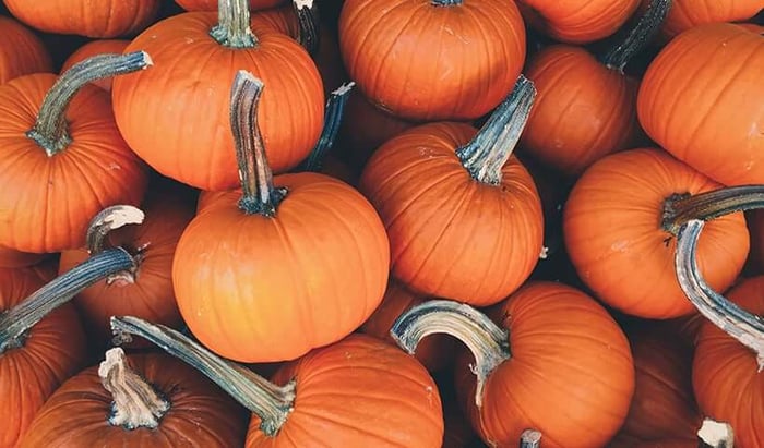 Fresh orange pumpkins with green stems scattered together, highlighting the natural source of nutrient-rich pumpkin seed oil