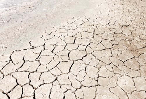 Cracked dry earth showing deep fissures, illustrating the effects of dehydration and moisture loss on skin barriers