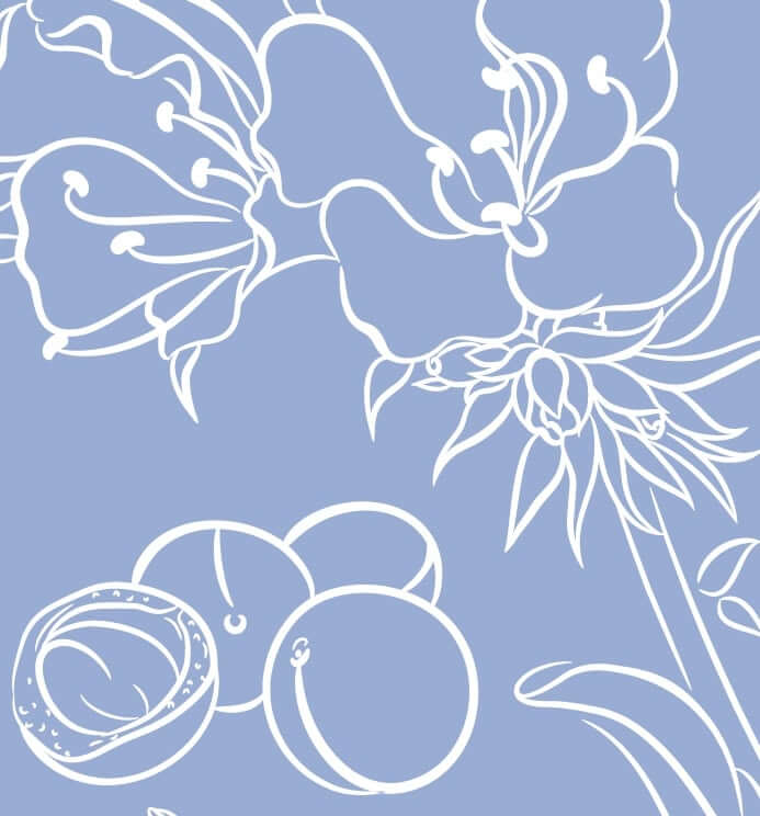 Elegant white line art illustration of botanical flowers and fruits on soft lavender background for mature skin guide