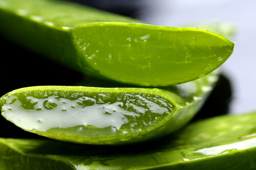Fresh aloe vera leaf cut open revealing clear gel interior with water droplets