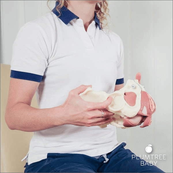 Models for Childbirth Educators: Independent {Part 3 of 4}