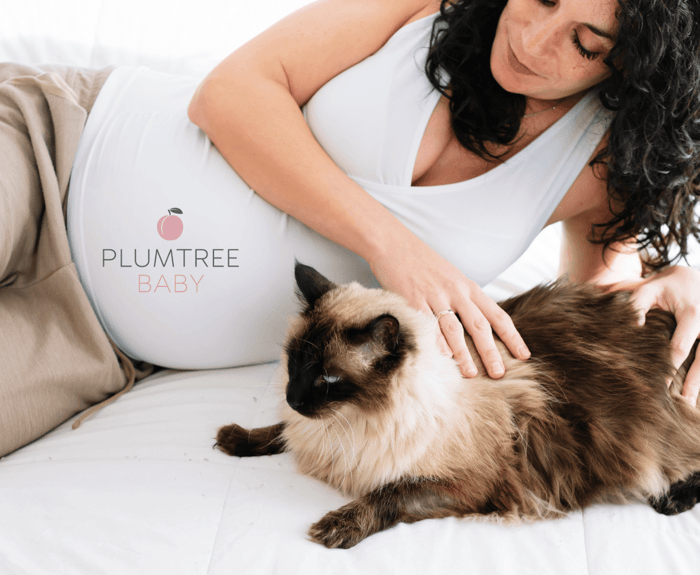 What to Know About Pet Care in Pregnancy