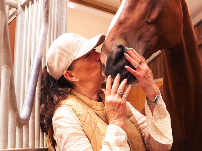 Choosing A Feed Balancer: What Every Horse Owner Should Know