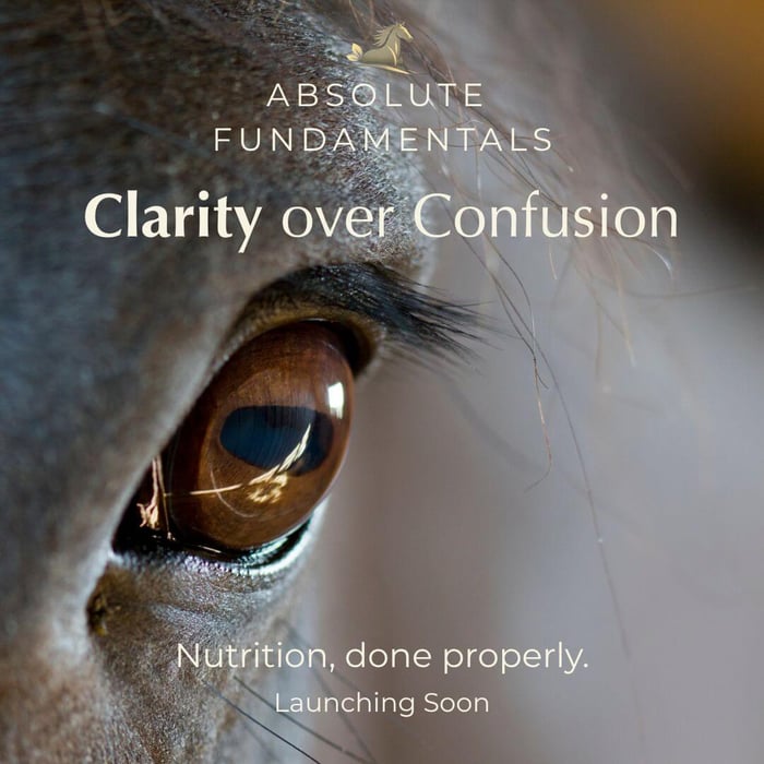 Equine Nutrition - Why Absolute Fundamentals Exists