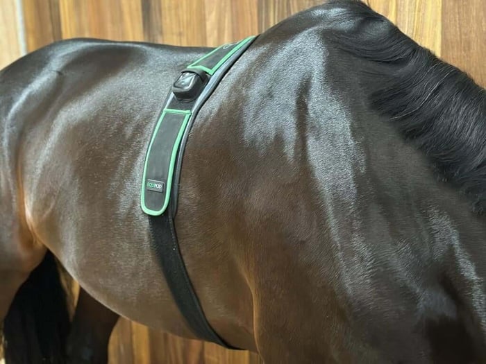 Have you been wondering what makes EquiPod different from other microcurrent devices?