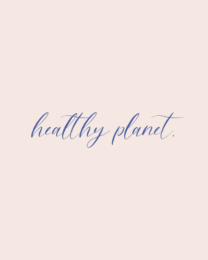 what does vegan beauty actually mean?