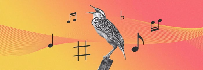 The fundamentals of vocal pitch correction