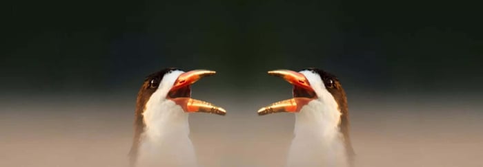Understanding Loudness in Audio Mastering