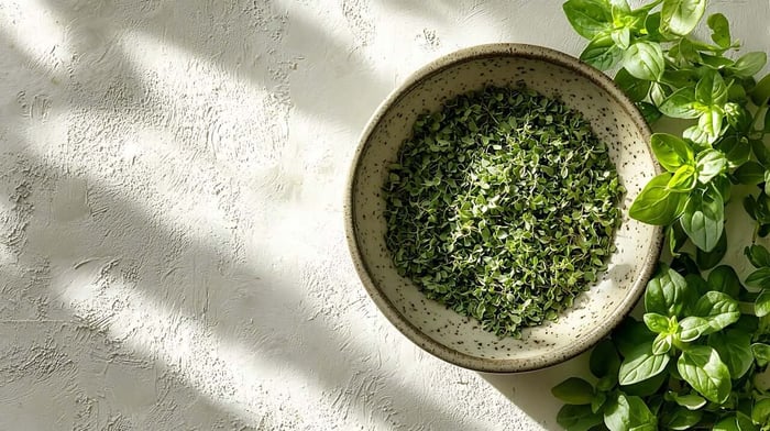Marjoram: A Gentle Herb with Bold Traditions