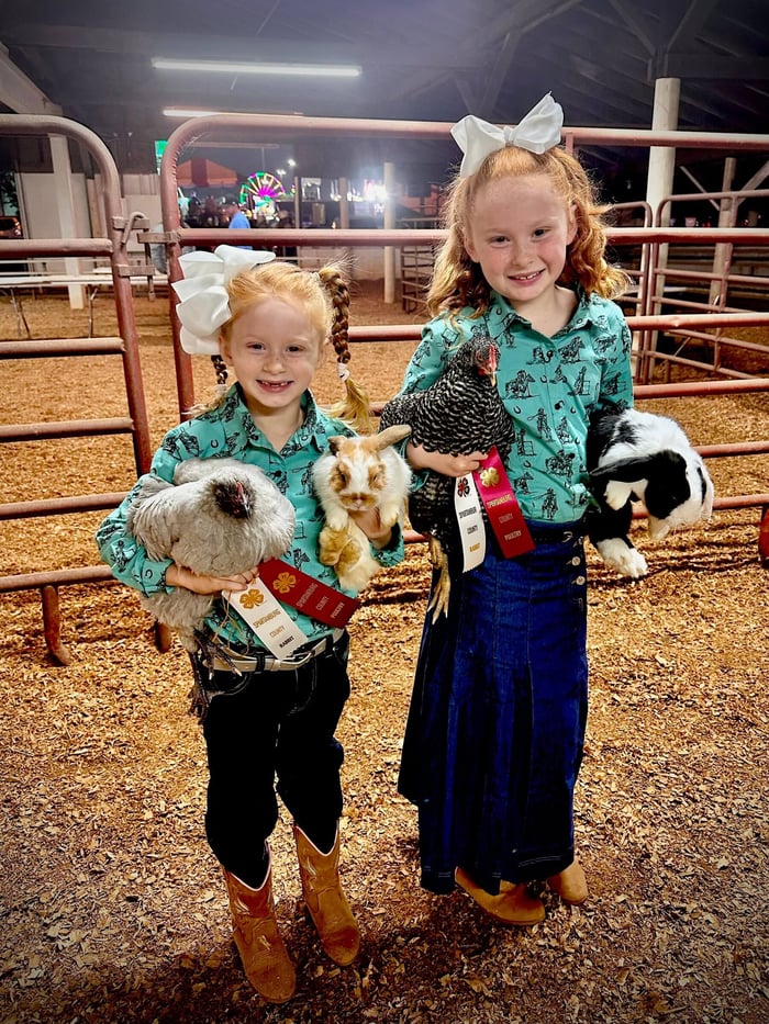 4-H Ribbon Colors: What Every Fair Leader Needs to Know