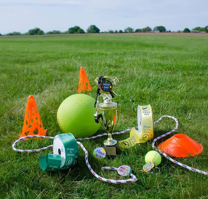 Affordable stock and custom field day awards including ribbons and trophies for all participants