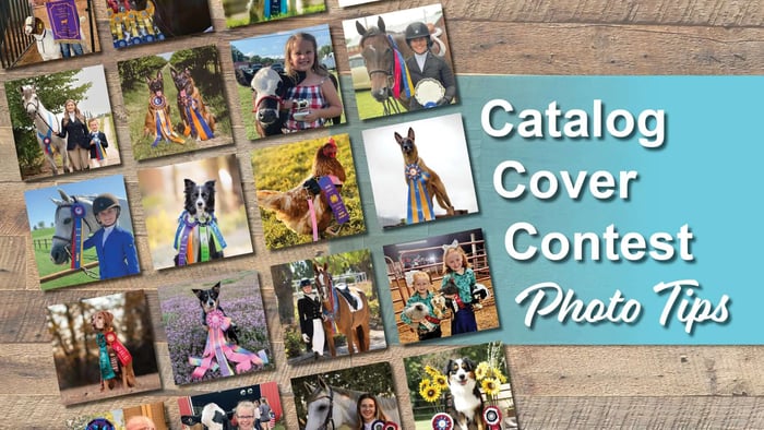 how to capture the perfect shot, catalog cover contest photo tips
