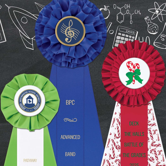 Coloful, affordable custom rosette awards for school recognition and high performing students.
