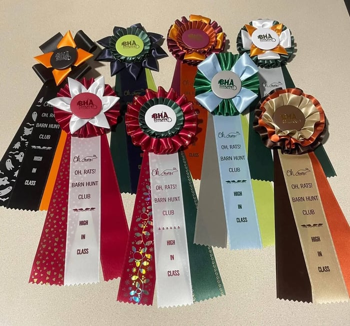 Custom rosette dog show awards from Oh Rats Barn Hunt Club with eye-catching ribbon designs.