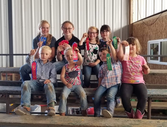 Order Your County Fair Ribbons Before the Season Rush