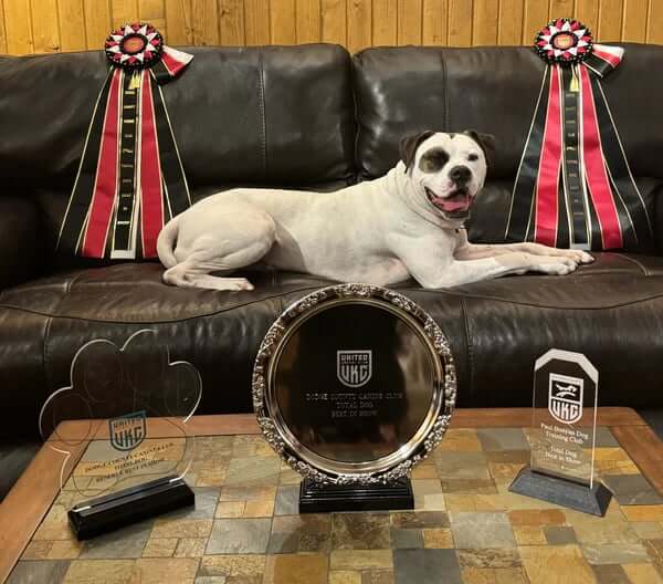 Custom Awards for Every Budget