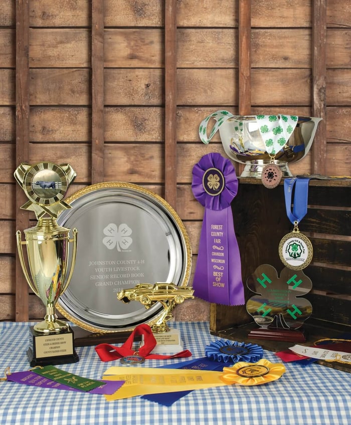 Plan Ahead, Stand Out: Award Planning for County Fairs, 4-H & Festivals