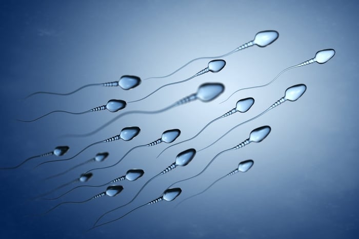 Sperm Test: Best At-Home & Lab Options in the US 2026