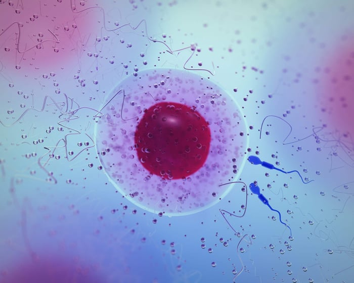 low sperm count