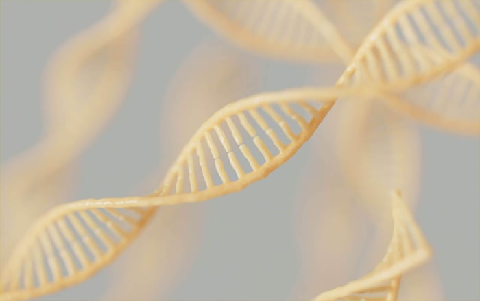 Sperm DNA Fragmentation: Signs Your Sperm DNA Is Damaged