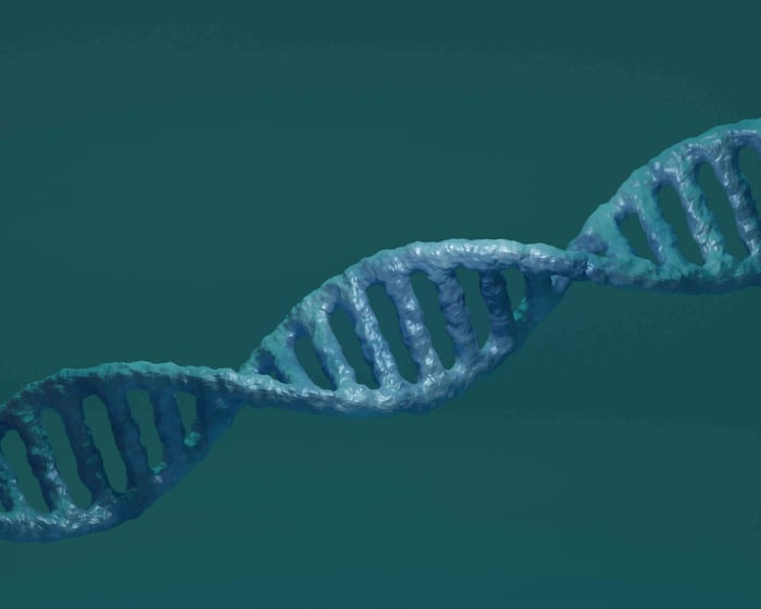 Sperm DNA Fragmentation Index Testing - Who Should Do?