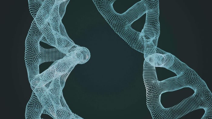 Sperm DNA Fragmentation - The Impact on Male Fertility