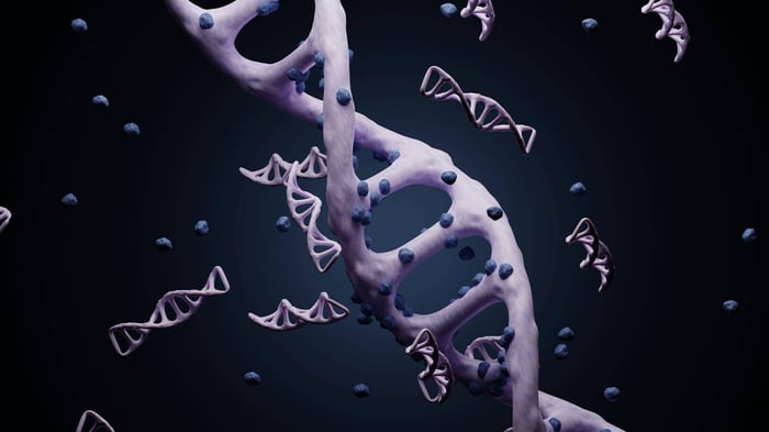Sperm DNA Fragmentation Test — Everything You Need to Know