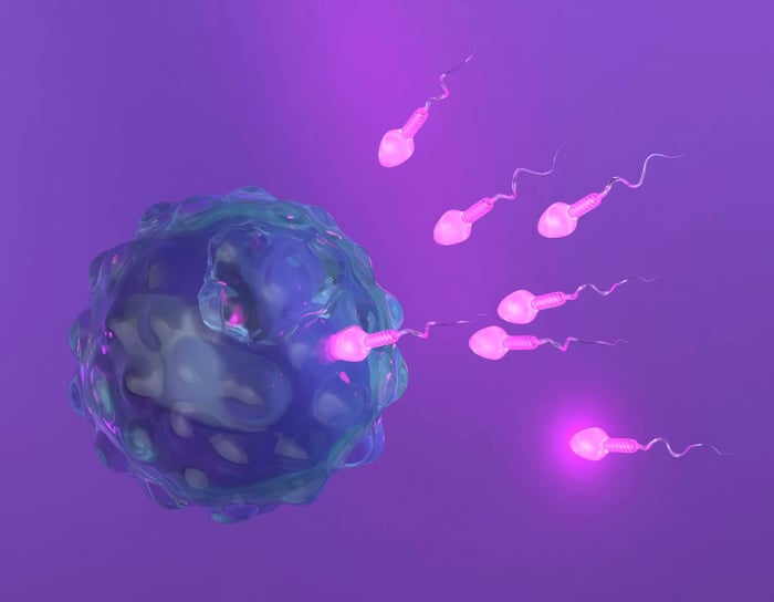 sperm morphology, count, and motility