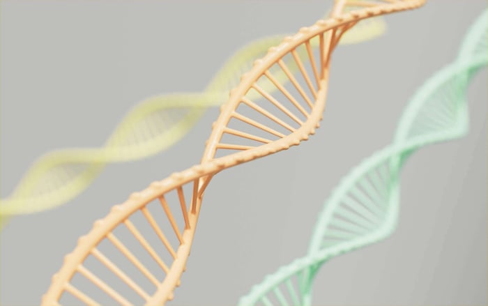 spermegt-dna-methylation-test