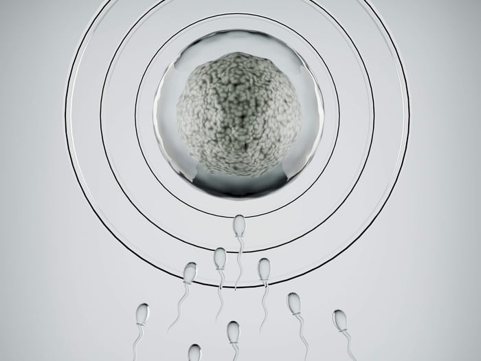 Total Motile Sperm Count