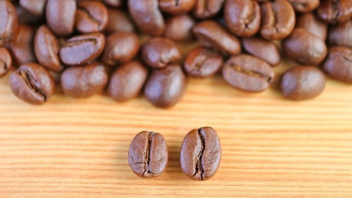Arabica vs Robusta: What's the Difference?