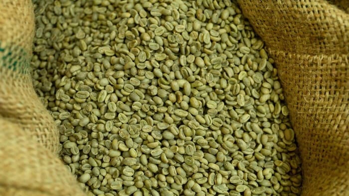 What to Look for When Buying Green Coffee Beans