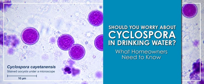 Can You Get Cyclospora From Pool Water