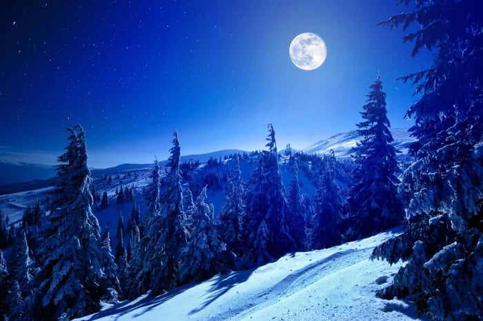 STORYTIME: THE MOON VISITS CANCER